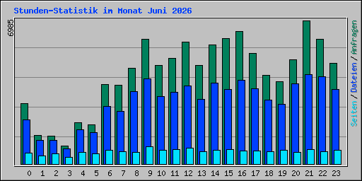 Stunden-Statistik im Monat Juni 2026